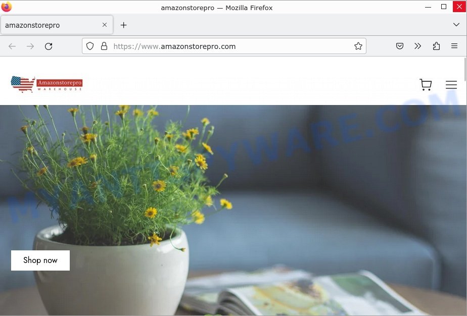 Amazonstorepro.com website