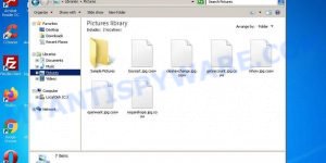 Cosw file virus