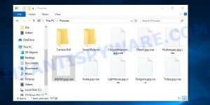 Craa file virus