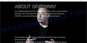 Elon Musk GiveAway Marathon Crypto Scam page 1