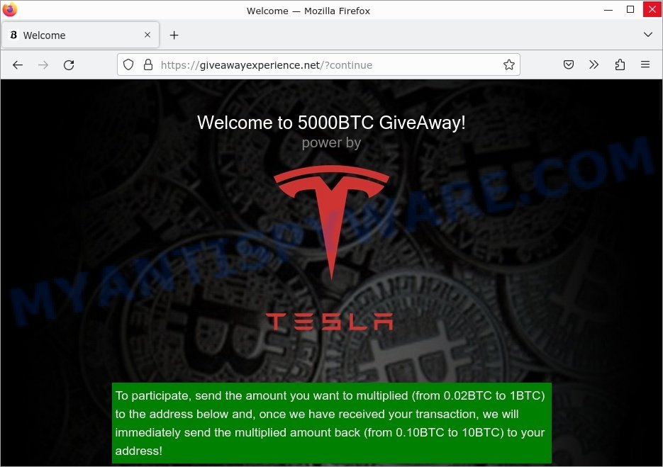 Elon Musk GiveAway Marathon Crypto Scam page