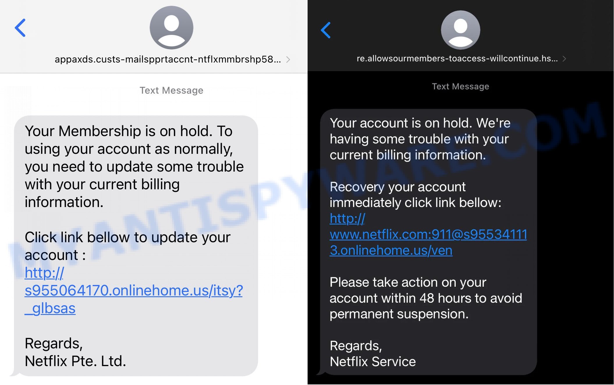 Netflix Membership Account on Hold Scam Text
