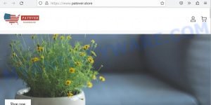 Patever.store website