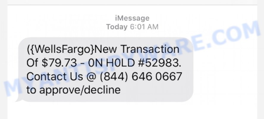 Wells Fargo New Transaction Scam Text