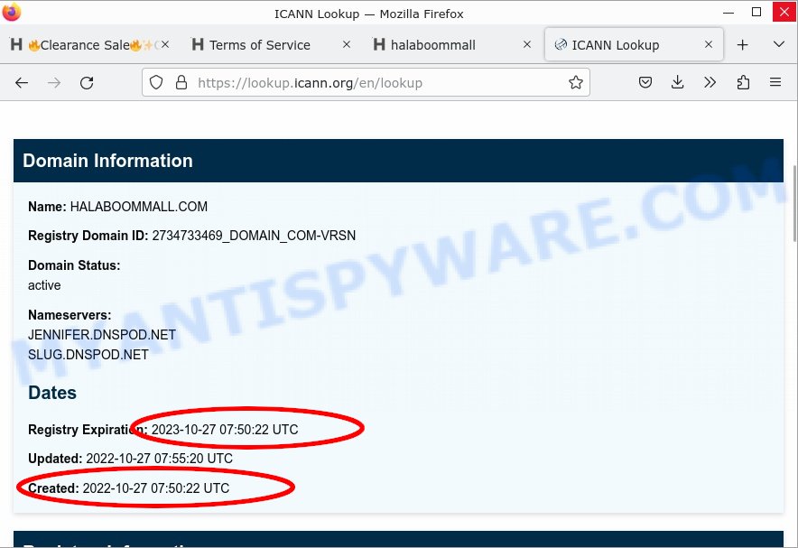 halaboommall.com ICANN Lookup