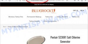 Bluerockter.shop Pentair 523081 Salt Chlorine Generator