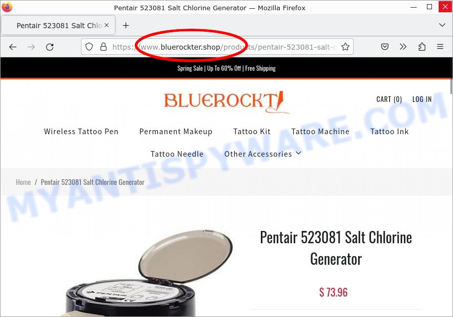 Bluerockter.shop Pentair 523081 Salt Chlorine Generator