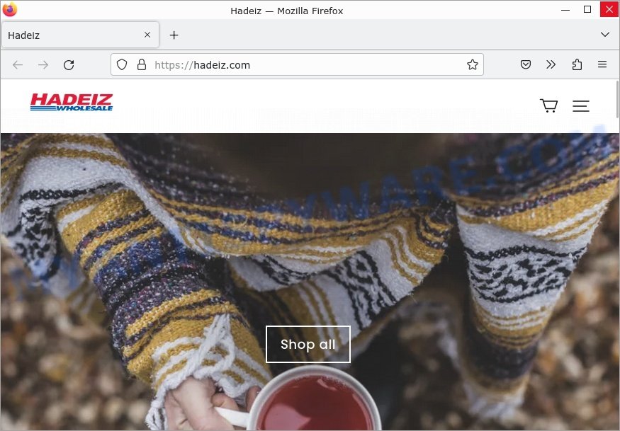 Hadeiz.com website