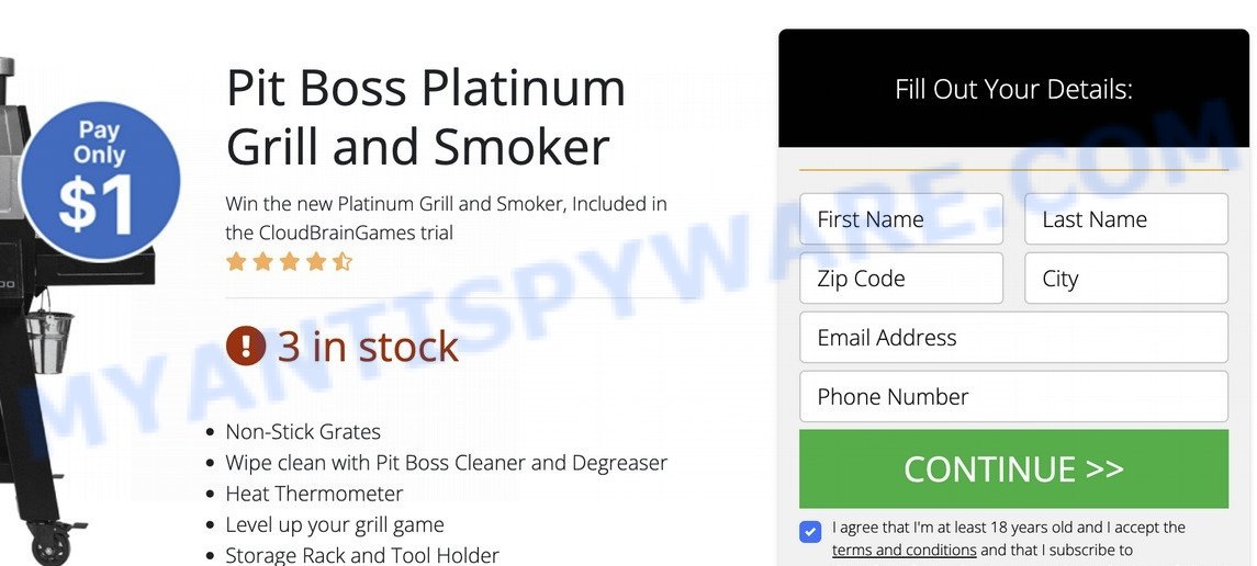 Pit Boss Grill Facebook Scam online form