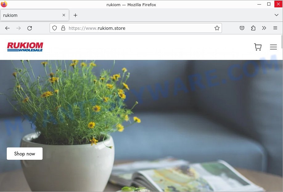 Rukiom.store website