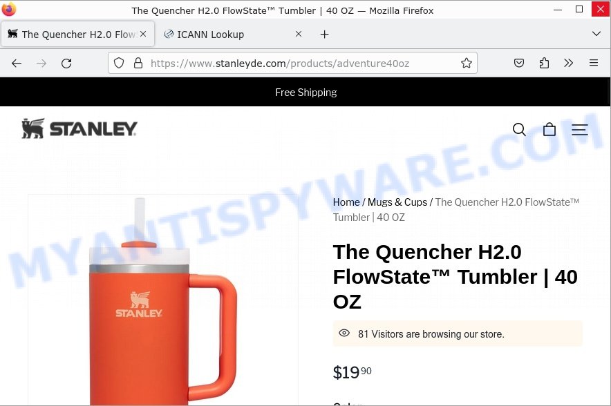 Stanleyde.com Quencher FlowState Tumbler