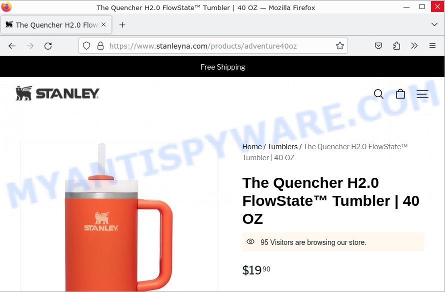 Stanleyna.com Quencher Tumbler