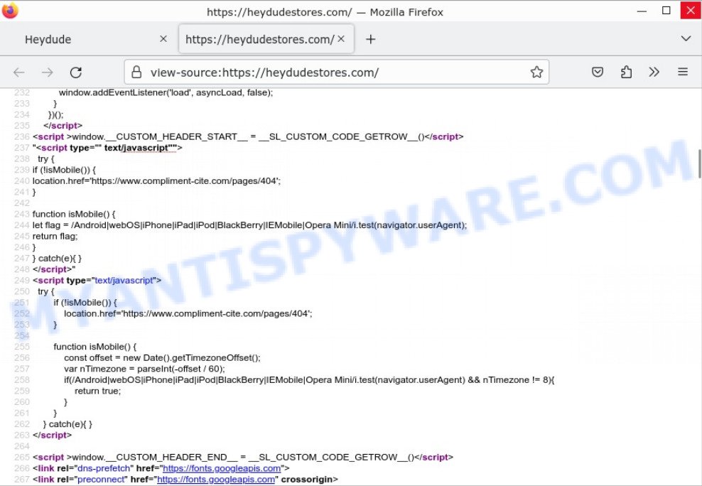 Heydudestores.com Scam jsscript