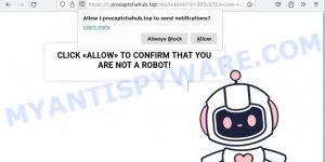 Pro Captcha Hub virus Click Allow Scam