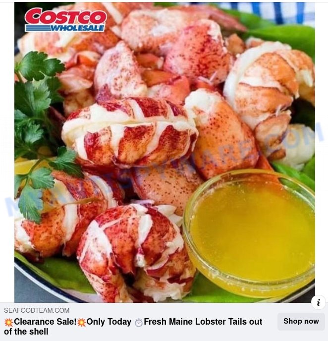 Seafoodteam.com facebook ads