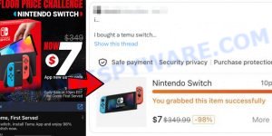 Temu Nintendo Switch Deal Real Proof