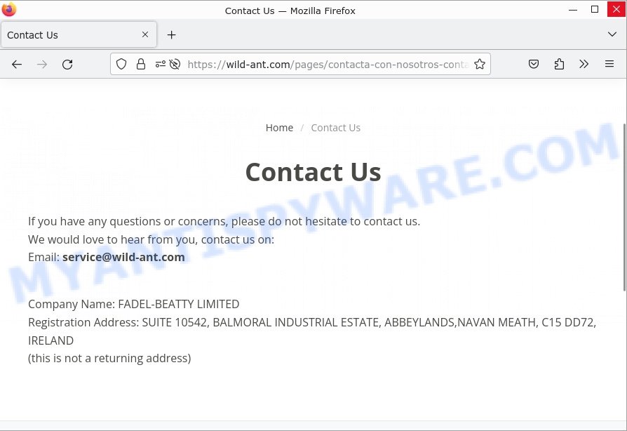 Wild-ant.com contacts