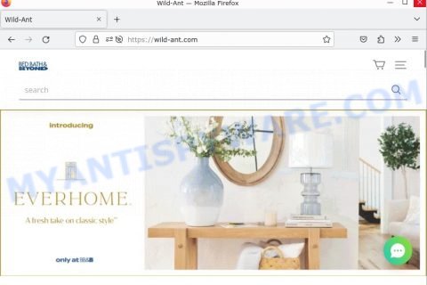 Wild-ant.com website