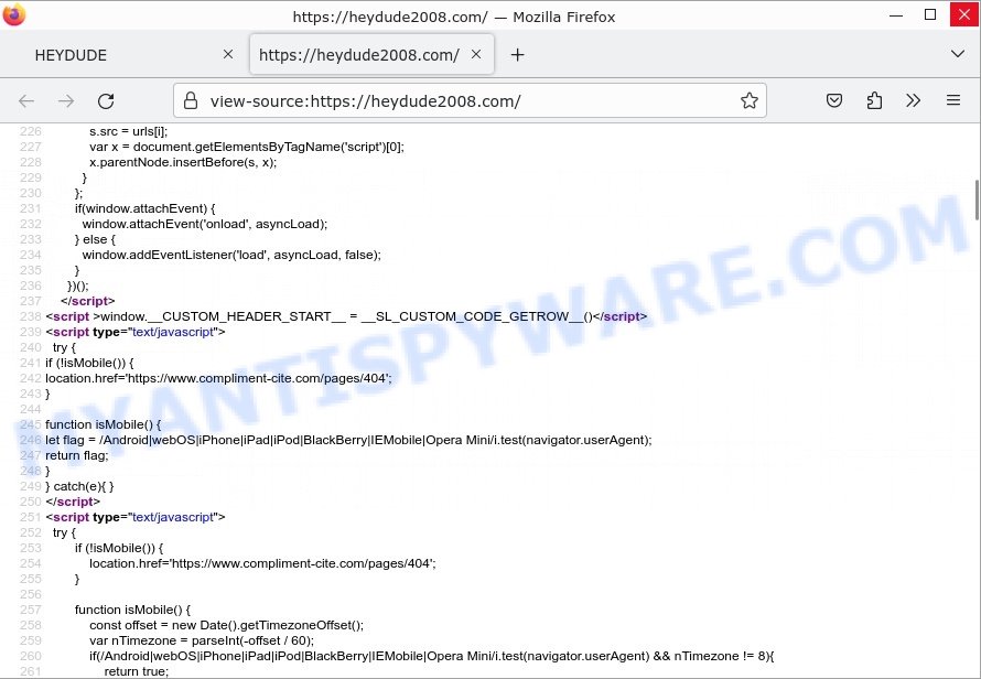 heydude2008.com scam shop javascript