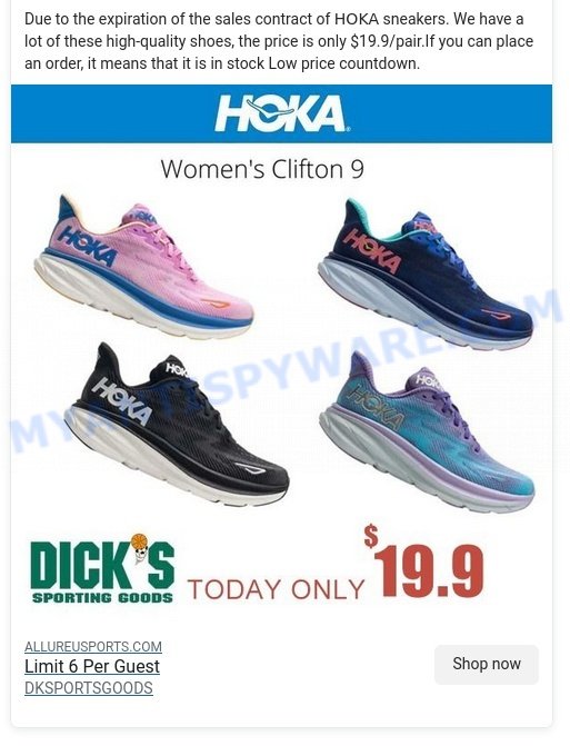 Allure Sports Hoka Scam facebook ads