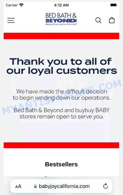 Babyjoycalifornia.com Baby Joy California Scam