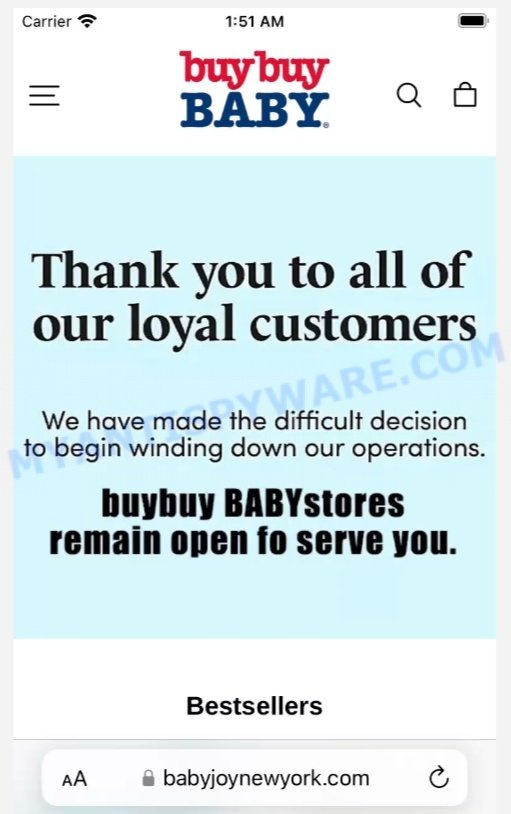 Babyjoynewyork.com buy buy BABY Scam store
