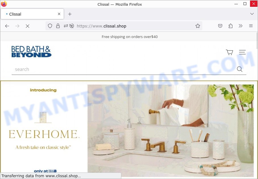 Clissal.shop Scam store