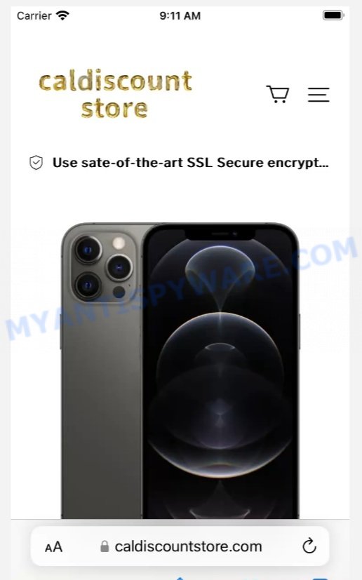 Caldiscountstore.com Scam store