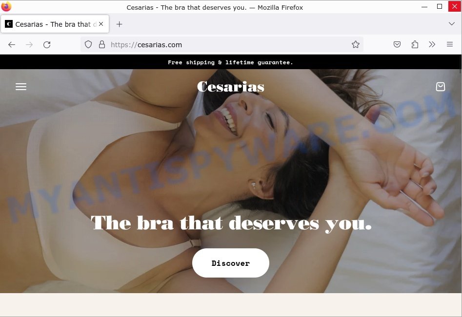 Cesarias.com The bra that deserves you website
