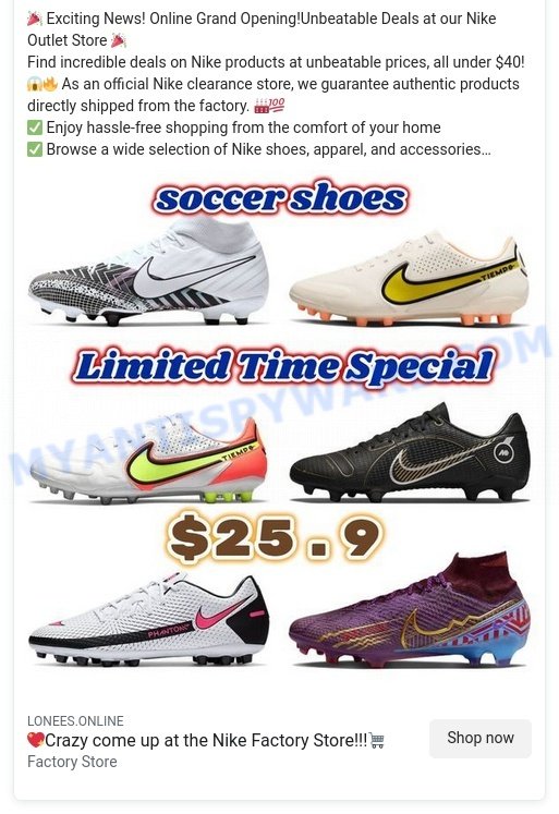 Lonees.online Scam ads