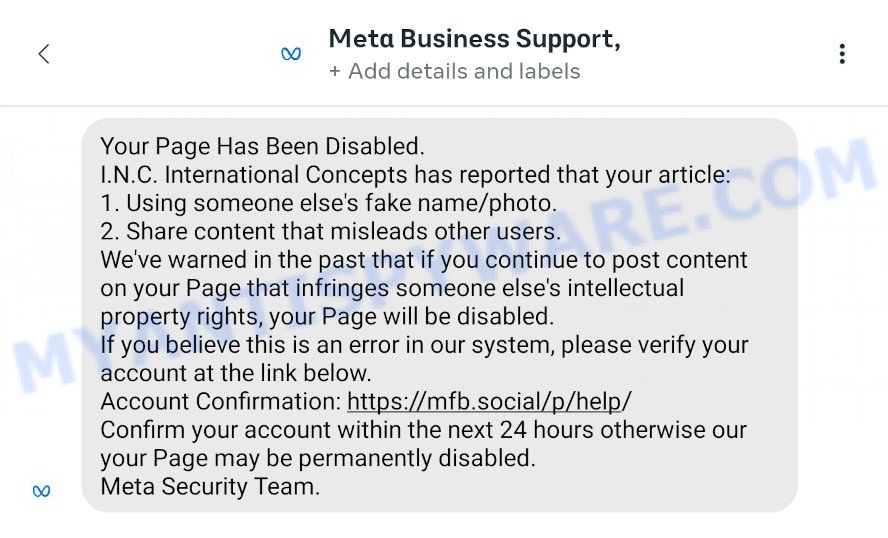 Meta Business Support Scam message