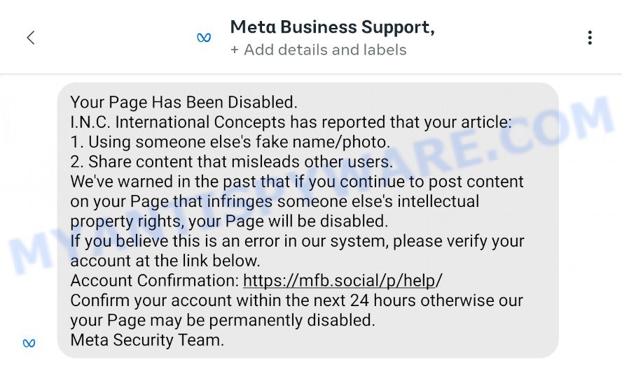 How to Get Support for Meta Business Suite Issues