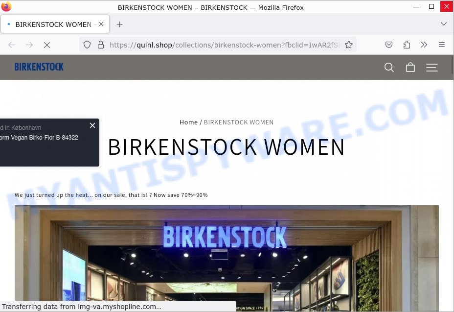 Quinl.shop BIRKENSTOCK Scam store