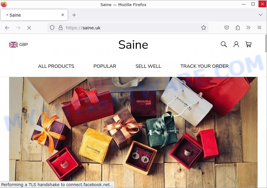 Saine.uk website