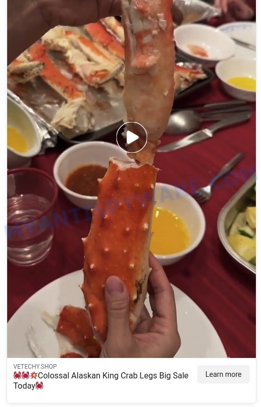 Vetechy.shop King Crab Store scam ads