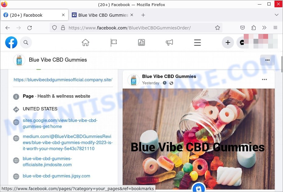 Blue Vibe CBD Gummies facebook