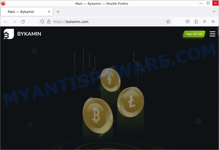 Bykamin.com scam