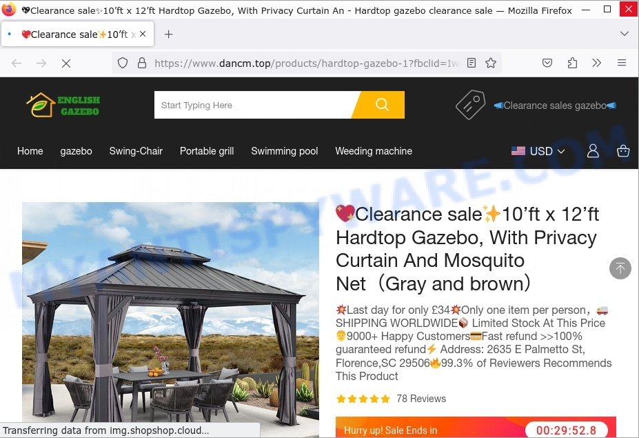 Dancm.Top Scam store