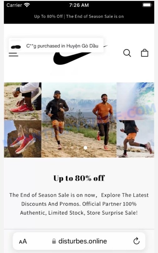 Disturbes.online scam store