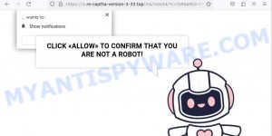 Re-captha-version-3-33.top Click Allow Scam