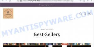 Snowymist.Shop scam store