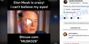 TikTok ElonMusk BTC scam