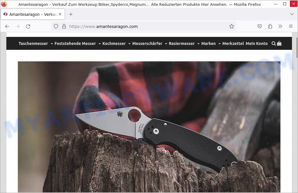 amantesaragon.com store