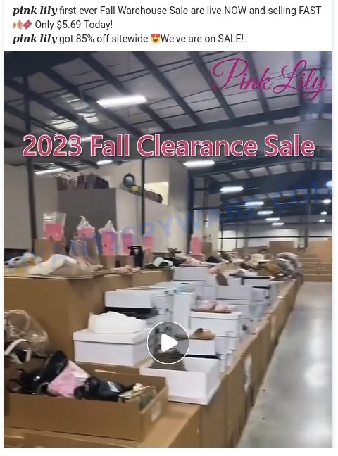 Pinkliysale.shop ads
