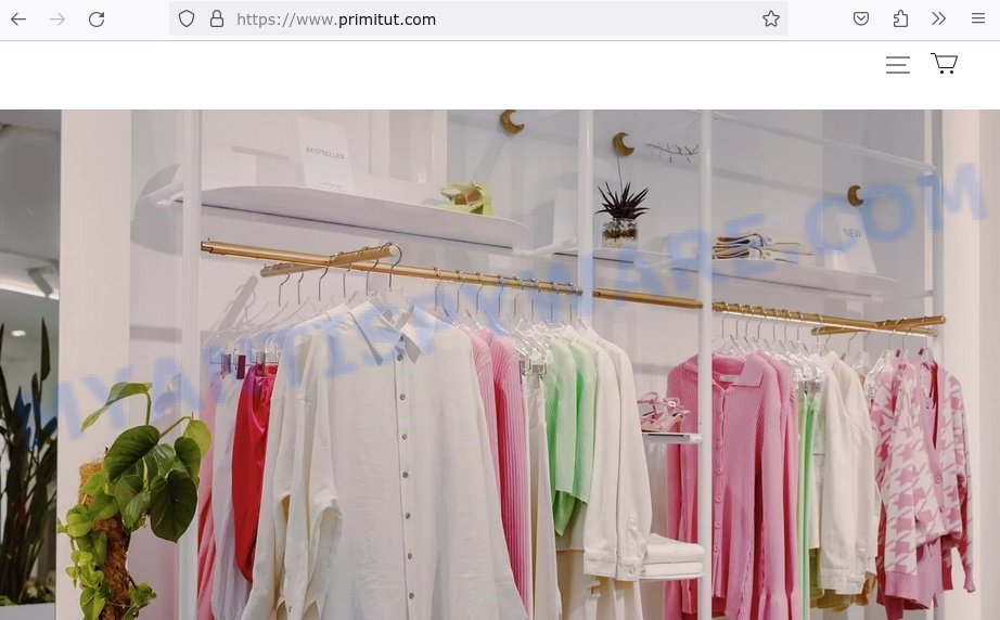 Primitut.com scam store
