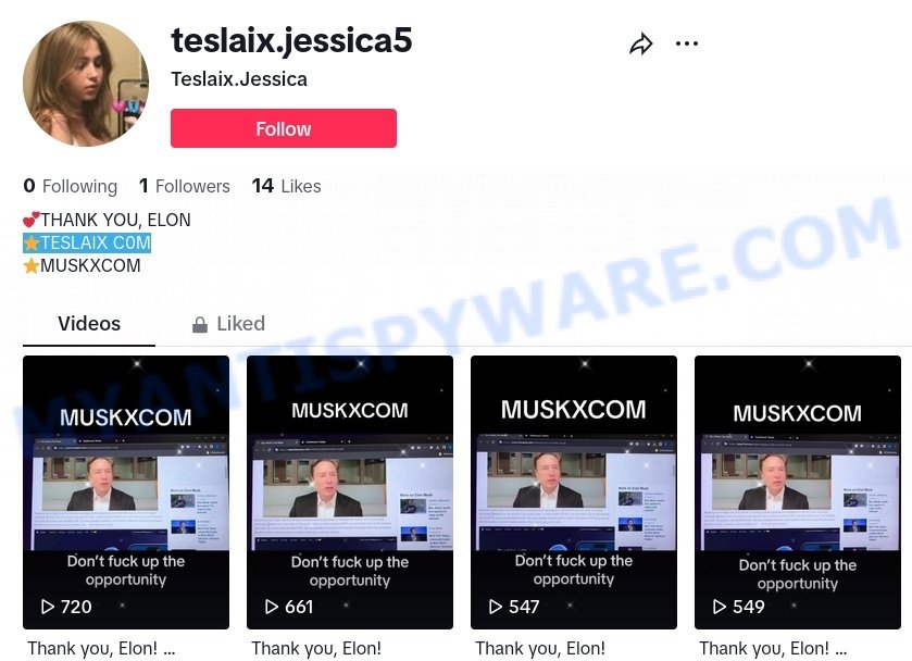 Teslaix.com tiktok ads