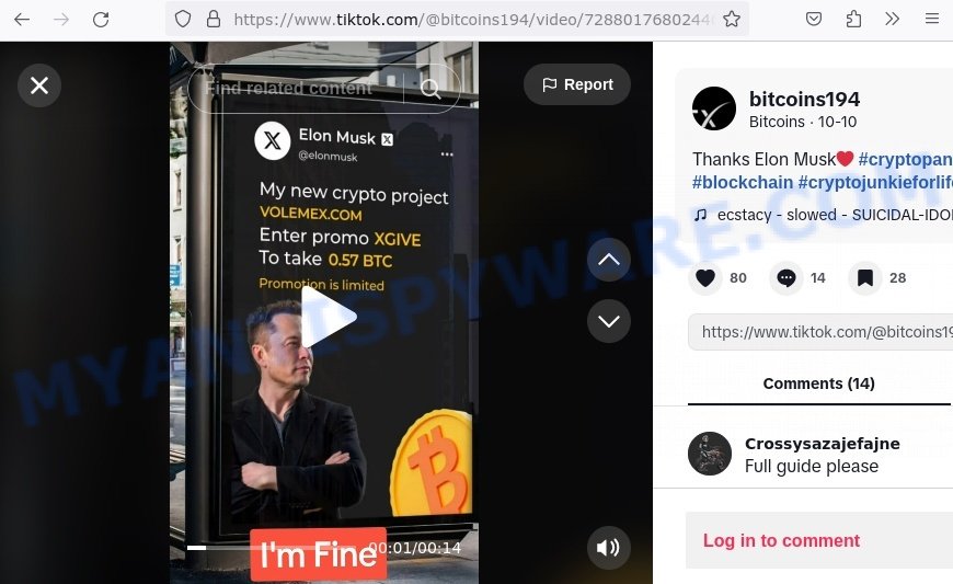 Volemex.com tiktok musk code scam