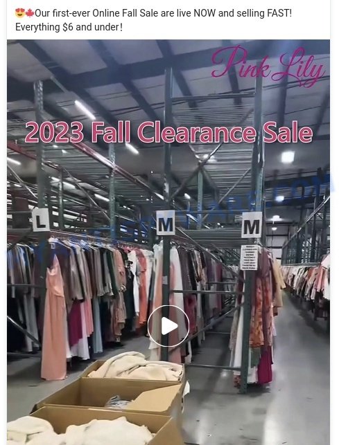 Is the Pink Lily 2023 Fall Clearance Sale at Pinkdily-us.com Legit