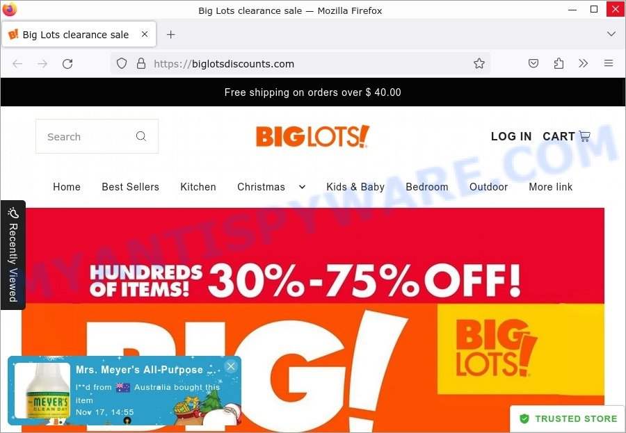 BigLotsDiscounts.com Big Lots clearance sale Scam