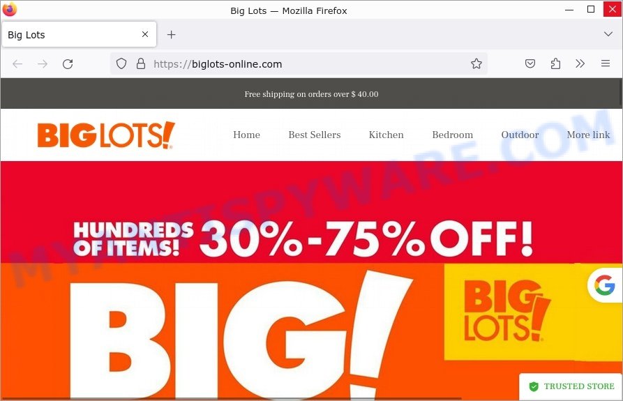 Biglots-online.com scam store